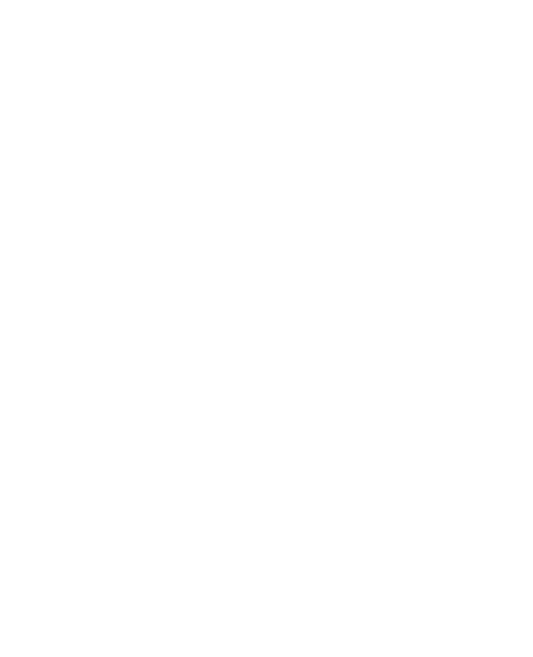 Popov-02